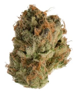 Jonny Chronic - TROPICANNA - 3.5