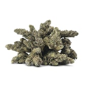 BC OZ - Glitter Bomb 28g (D2)