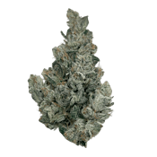 Island Pink Kush 7g