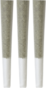 Coterie - Pink Rose #4 3x0.5g Pre-Rolls 1.5g