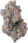Coterie - Purple Zushi 7g