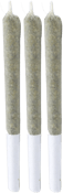 Partake - Punch Mints Pre-Rolls 3 x 0.5g | 1.5g