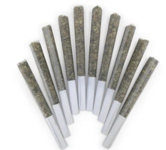 BC Doobies - GENGHIS CHRON - 10 x 0.5g