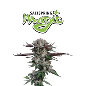 Salt Spring Magic - MAGI Pine Tar 3.5g