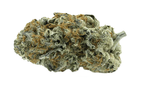 PARTAKE - Orange Squeeze 14g Dried Flower