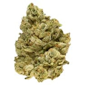 Broken Coast  - EMERGENZ - 28