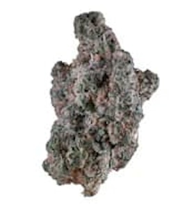 1964 - NY LEMON DIESEL - 28