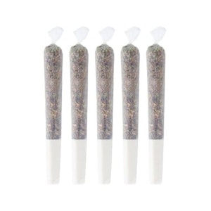 Pineapple Buds - PURPLE G*SHERS PRE-ROLLS - 5x0.5g