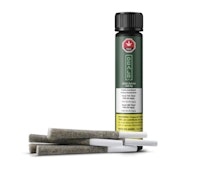 DEALR - Iced Zuchi (5x0.5g)