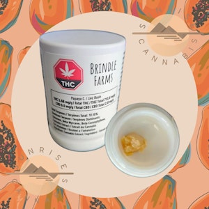 Brindle Farms - PAPAYA C - BRINDLE FARMS  - 1G