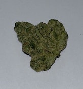 Chubby Nuggies (Gelato x Rainbow Chip) *Main Street Exclusive*