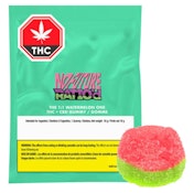 No Future Ratio'd - The 1:1 Watermelon One CBD/THC 1x10g soft chew