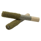 Terpgasm Dusted Dank 1s Infused Pre-Roll 2x1g