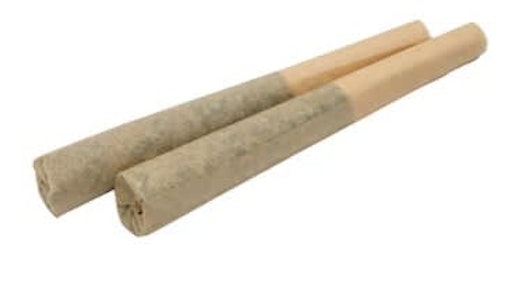 Miss Infused - AMPLIFIED THC | Miss Infused 3x0.5g Bubble Hash Infused Pre-rolls | Rest