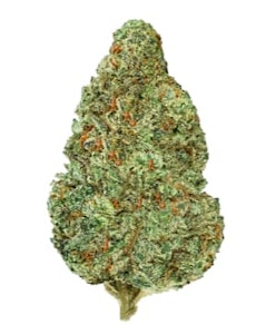 Back Forty - Chemzilla - Back Forty - Indica - Dried Flower 14g