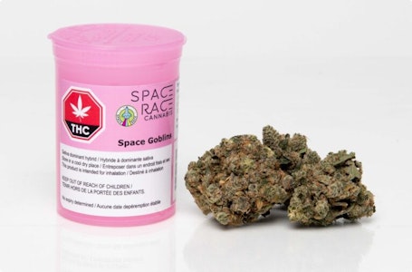 Space Race Cannabis - Space Race Cannabis - Space Goblins 3.5g Flower (Rotating Strain)