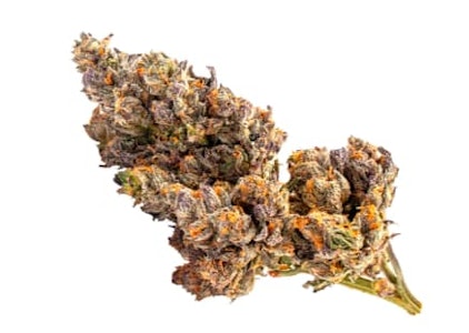 Baggies - Sativa Bag - Baggies - 1g Dried Flower