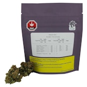 Galactic Glue 14g Dried Flower