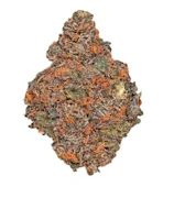 Beaver Tail | 7g | Potluck