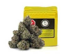 BC 1/4 - ICE CREAM FLOAT Flower - 7G