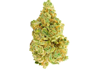 Versus - White Widow - Versus - Sativa - Dried Flower 28g