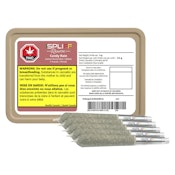 Candy Rain Premium Glass Tip Pre-Roll 5x0.6g Pre-Rolls