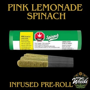 Spinach - Fully Charged Pink Lemonade - 5 x 0.5g