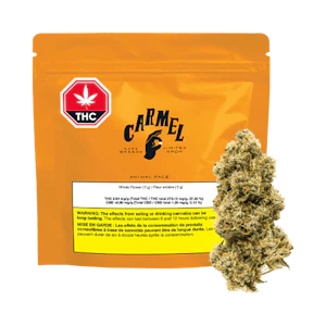 CARMEL - Animal Face 7g Dried Flower
