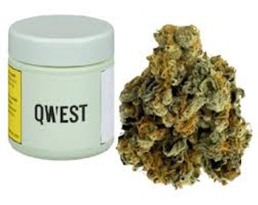 Qwest - Morning Sun 28g Dried Flower