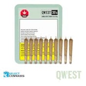 Morning Sun 10 x 0.35g Pre-Rolls