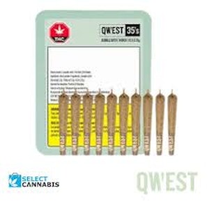 Qwest 35's - Morning Sun 10 x 0.35g Pre-Rolls