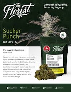 The Florist - Sucker Punch 7g Dried Flower