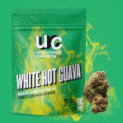 Mango Crush 3.5g Dried Flower