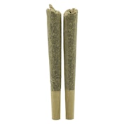 2x1g