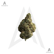 The Republic Reserve 25 Plus | 7g