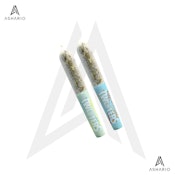Twisters - Citrus Cyclone & Mango Slap | 2x0.5g