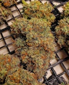 Electric Lettuce Purple Lake Kush 5g