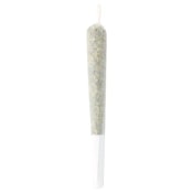 ANIMAL TSUNAMI PRE-ROLLS - 1