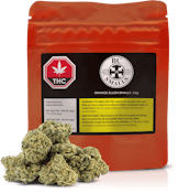 ORANGE ZLUSH SMALLS - 3.5