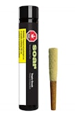 SOAR - Tropic Crush 1 x 1g Kief Coated Infused Blunt