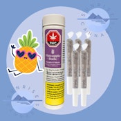 PURPLE G*SHERS - PINEAPPLE BUDS - 5X0.5G