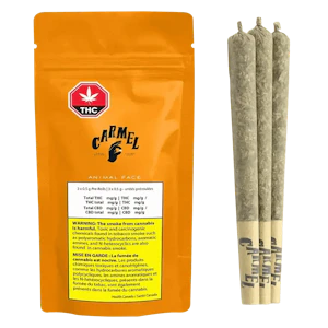 CARMEL - ANIMAL FACE | 3 x 0.5g