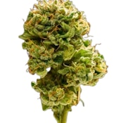 Tahiti Treat 28g