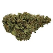 GAS NASTY