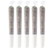 PINEAPPLE HAZE | Pineapple Buds 5x0.5g Pre-rolls | Elevate