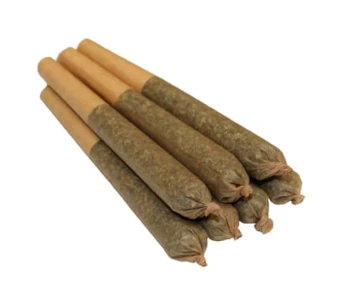Pineapple Buds - PINEAPPLE BUDS - TROPICAL CYCLONES PRE-ROLLS