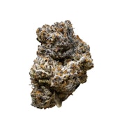 Jack Truffle 14g