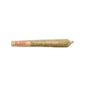 GLUERANGUTAN PRE-ROLLS - 1