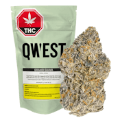 Qwest | Grandi Guava Sativa | 3.5g Flower