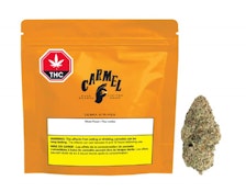 Zebra Stripes 3.5g Dried Flower